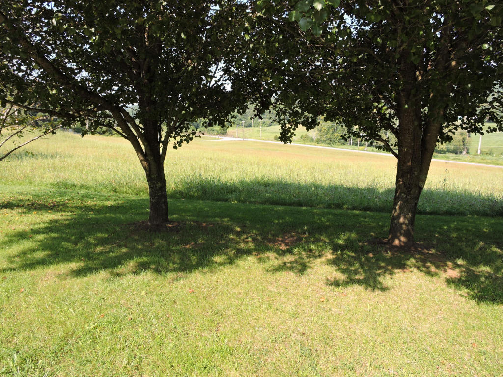 123 Den Dr, Heiskell, TN 37754 photo 6