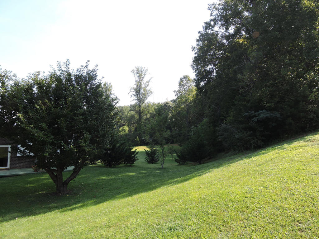 123 Den Dr, Heiskell, TN 37754 photo 2