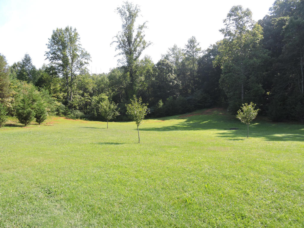 123 Den Dr, Heiskell, TN 37754 photo 9