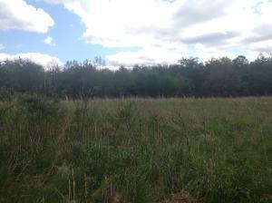 1438 Genesis Road Rd, Lancing, TN 37770 photo 2
