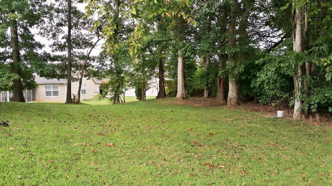 7728 Cotton Patch Rd, Corryton, TN 37721 photo 21