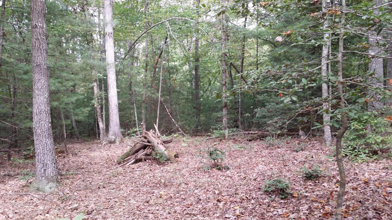 150 Corbin Ln, Lancing, TN 37770 photo 3