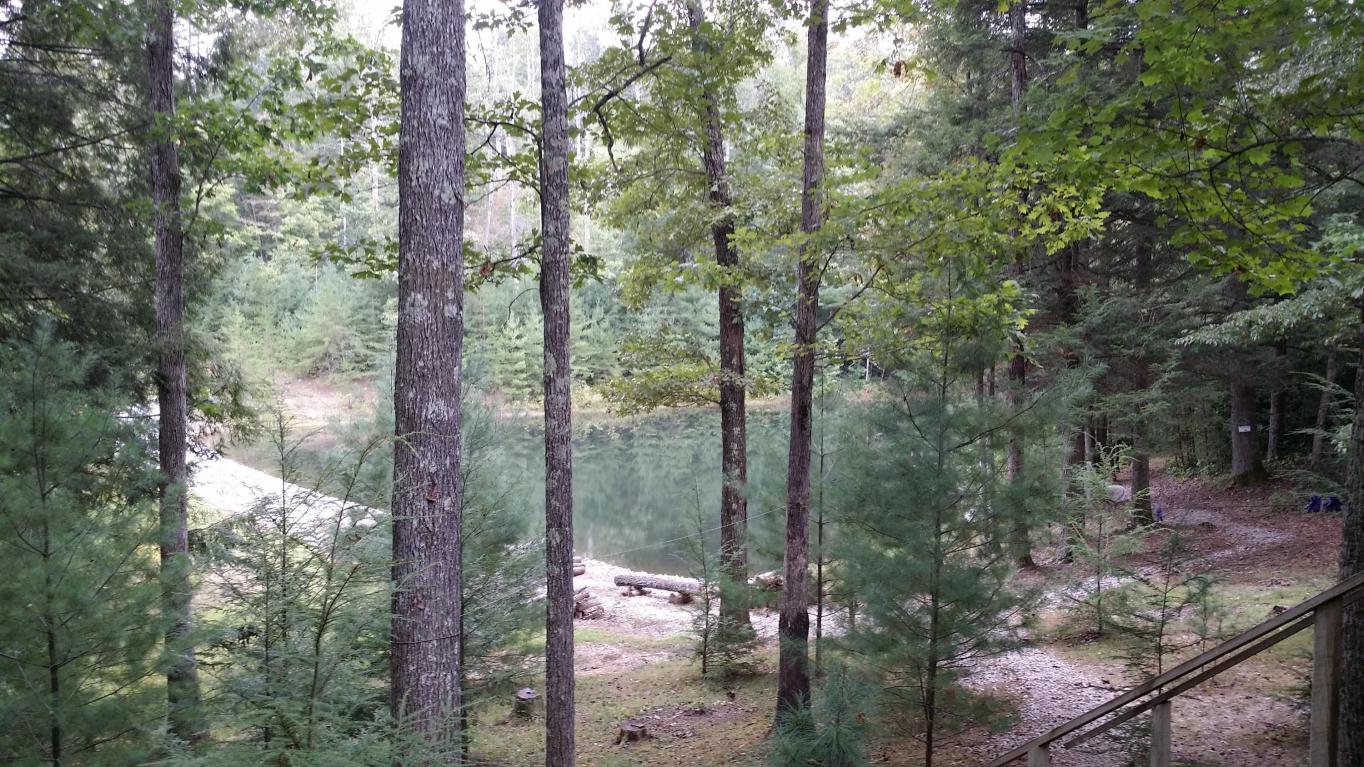 150 Corbin Ln, Lancing, TN 37770 photo 7