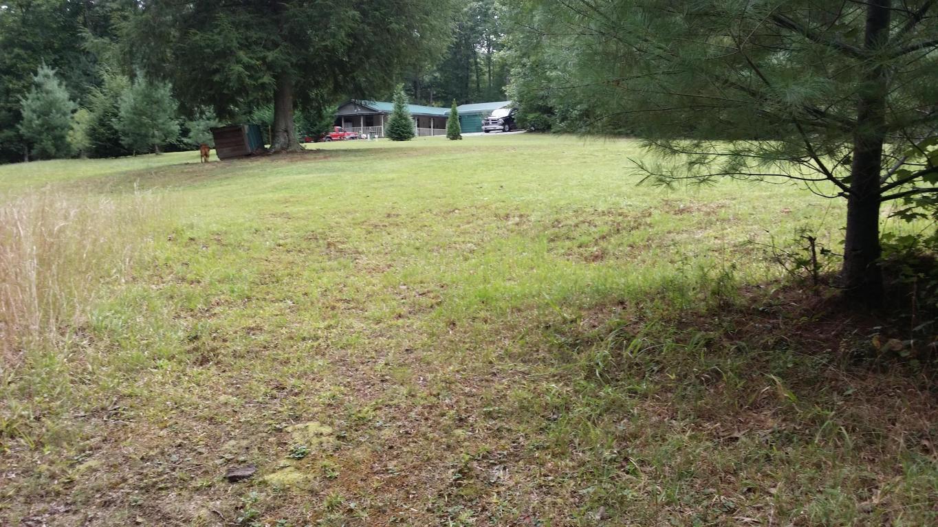150 Corbin Ln, Lancing, TN 37770 photo 5