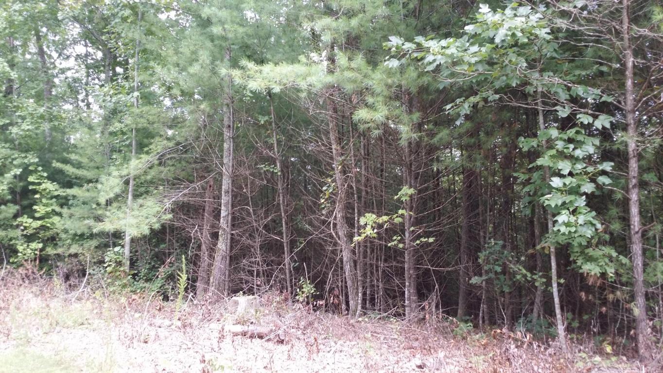 150 Corbin Ln, Lancing, TN 37770 photo 2