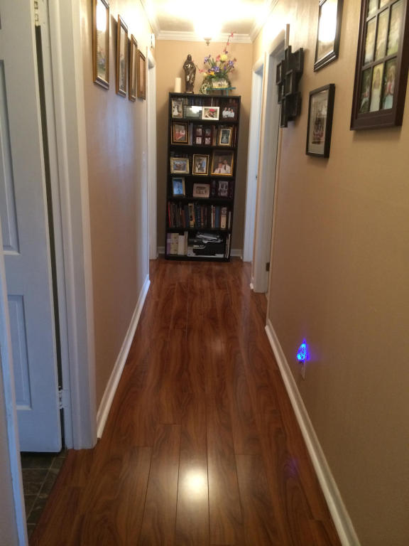 510 Jerry Dr, Talbott, TN 37877 photo 9