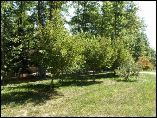 135 Cedar Ridge Rd, Jamestown, TN 38556 photo 12