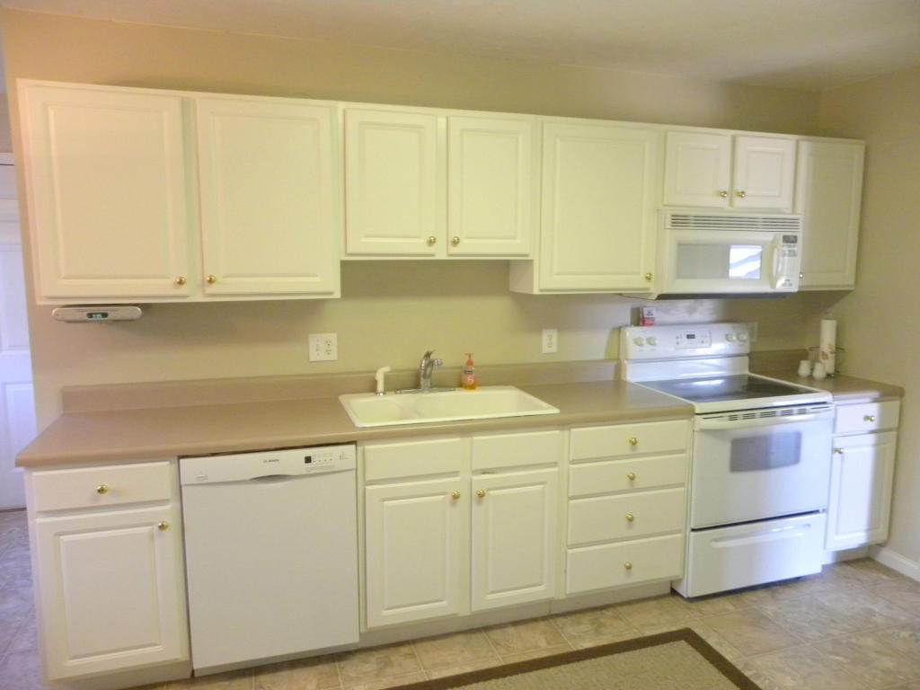 857 Galloping Ln, Powell, TN 37849 photo 5