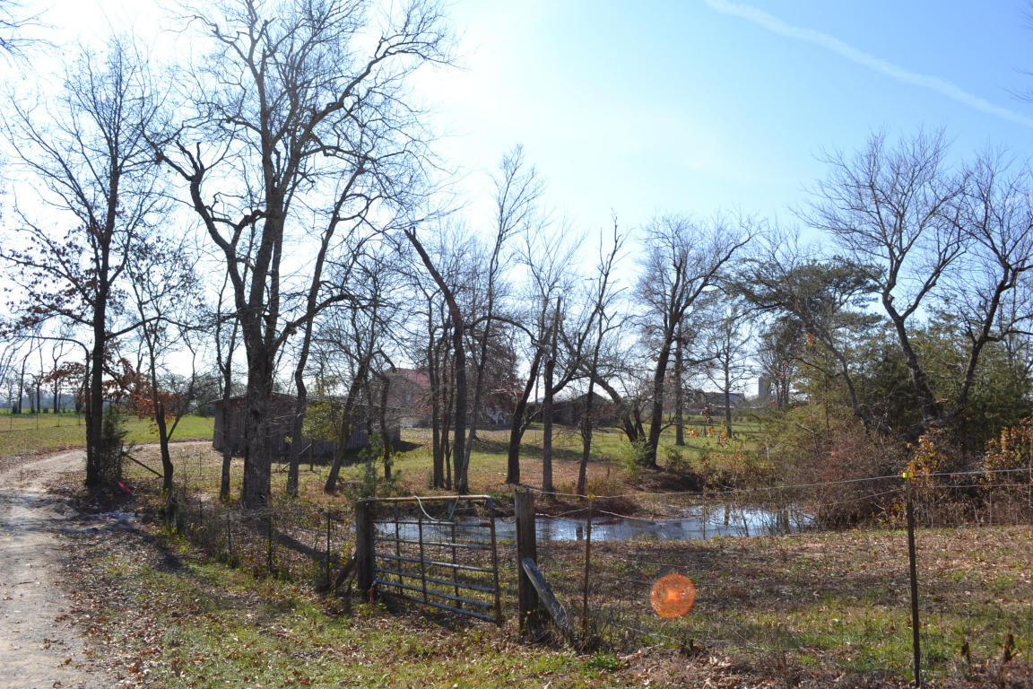 1020 Pine Ridge Ln, Clarkrange, TN 38553 photo 34