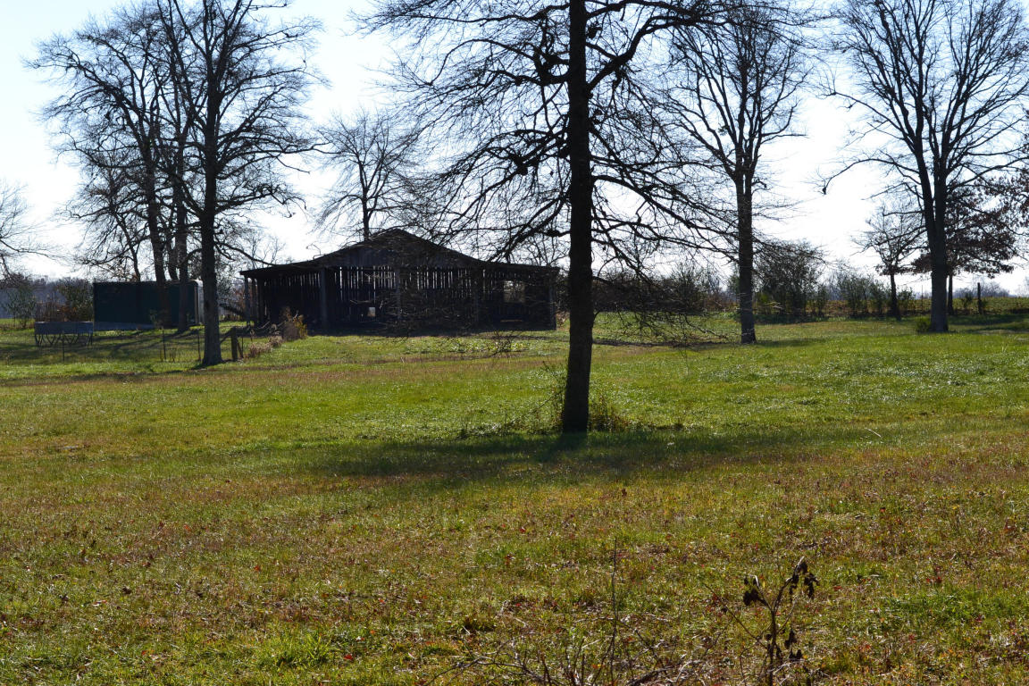 1020 Pine Ridge Ln, Clarkrange, TN 38553 photo 12