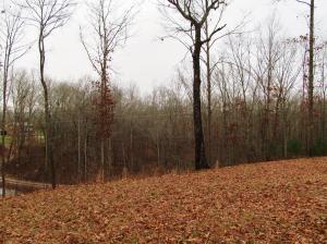 336 Montgomery Rd, Lancing, TN 37770 photo 34