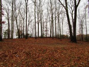 336 Montgomery Rd, Lancing, TN 37770 photo 37