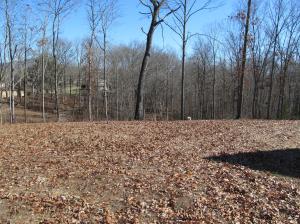 336 Montgomery Rd, Lancing, TN 37770 photo 33