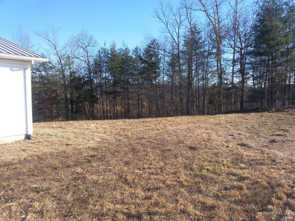 489 Summit, Oneida, TN 37841 photo 17