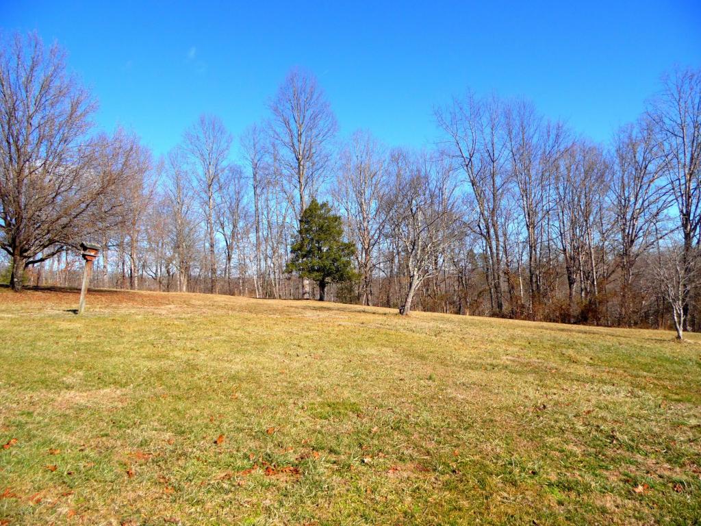 959 Knotty Pine Ln, Duff, TN 37729 photo 2