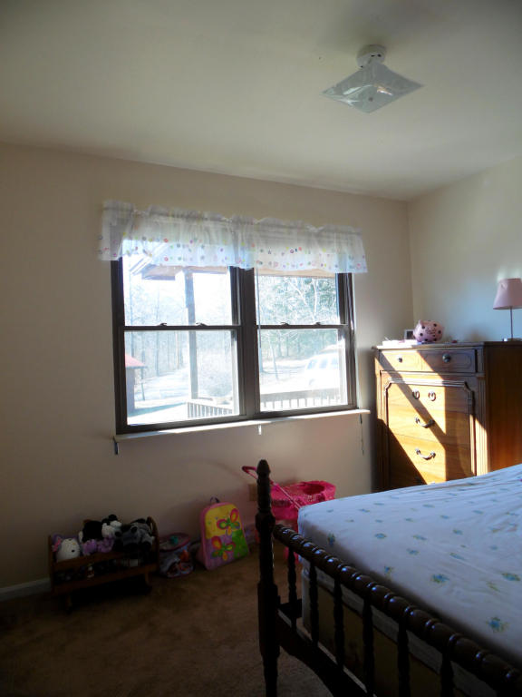 959 Knotty Pine Ln, Duff, TN 37729 photo 16
