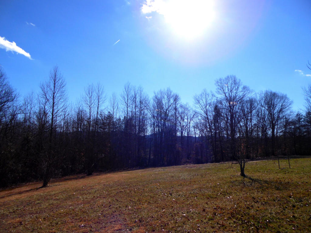 959 Knotty Pine Ln, Duff, TN 37729 photo 22