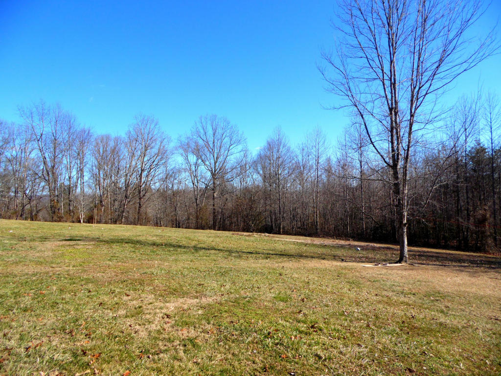 959 Knotty Pine Ln, Duff, TN 37729 photo 21