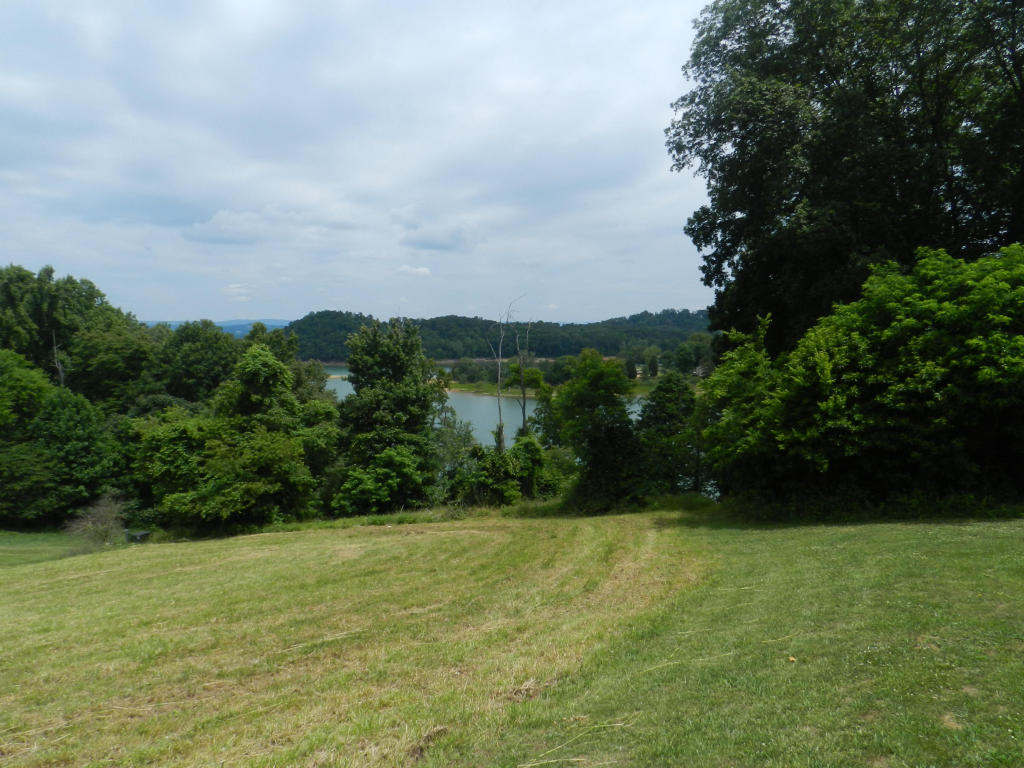 1742 Wilderness Dr, Talbott, TN 37877 photo 7