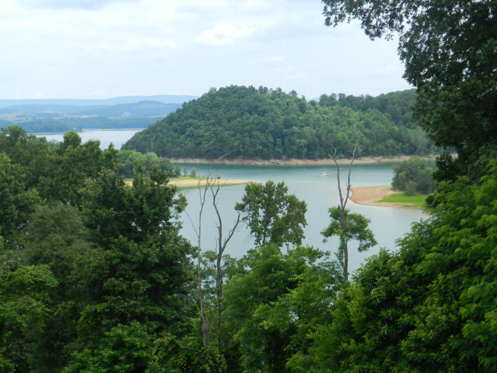 1742 Wilderness Dr, Talbott, TN 37877 photo 13