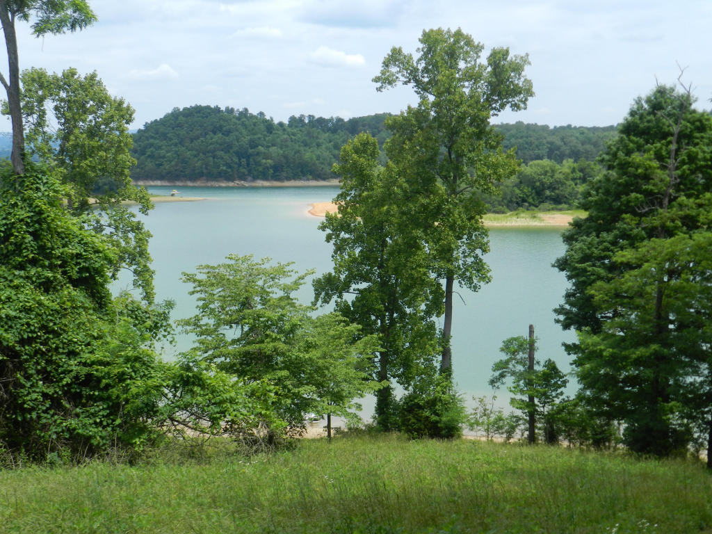 1742 Wilderness Dr, Talbott, TN 37877 photo 10