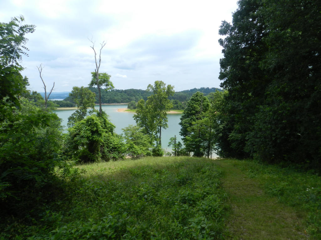 1742 Wilderness Dr, Talbott, TN 37877 photo 9