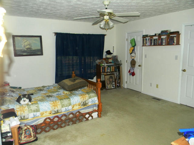 2815 Lake Forest Cir, Talbott, TN 37877 photo 23