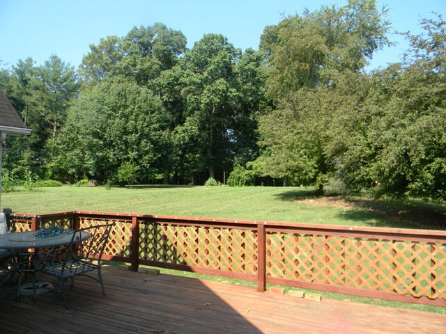 2815 Lake Forest Cir, Talbott, TN 37877 photo 5