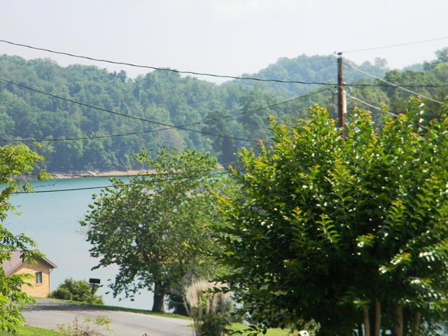 2815 Lake Forest Cir, Talbott, TN 37877 photo 7
