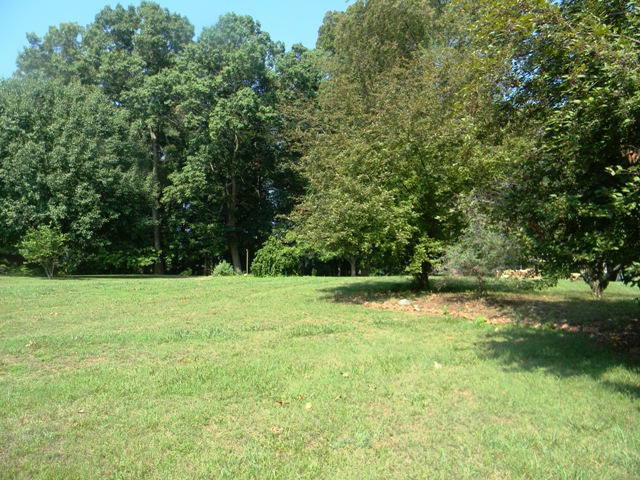 2815 Lake Forest Cir, Talbott, TN 37877 photo 6