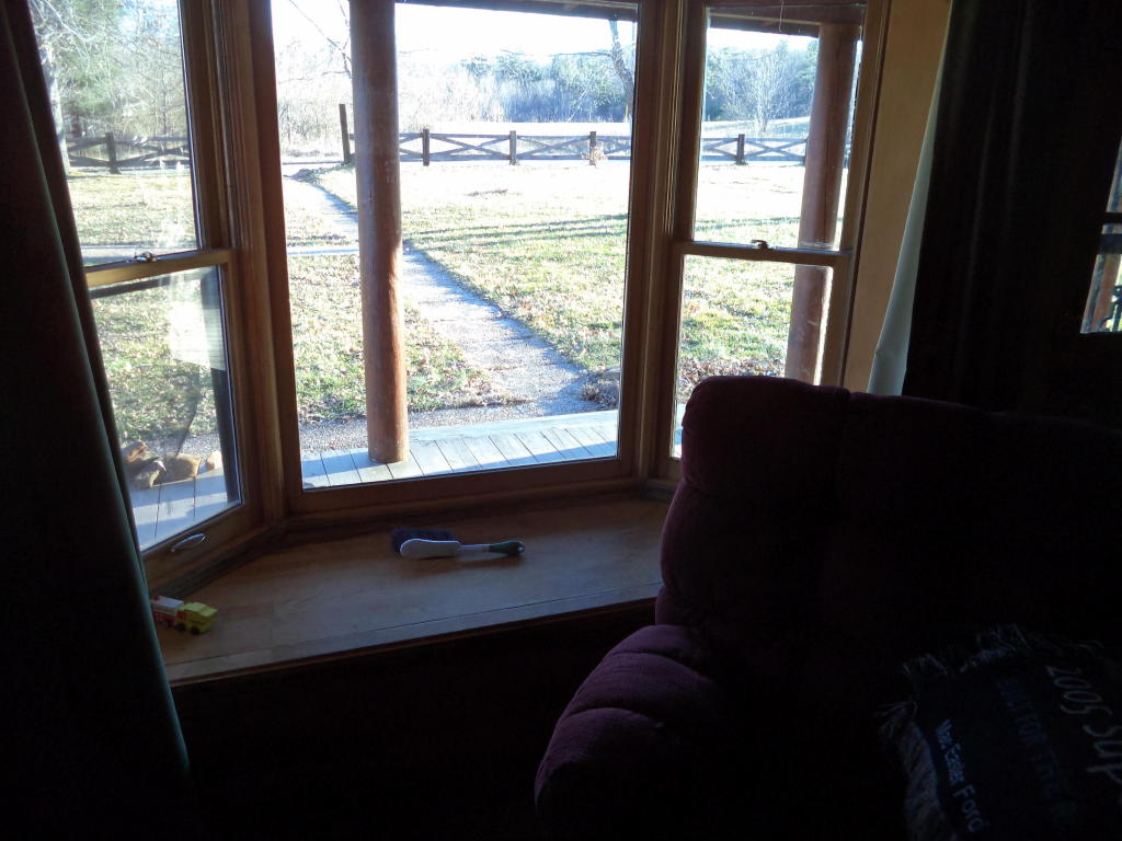 280 James Ave, Oneida, TN 37841 photo 5