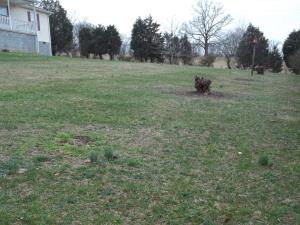 205 Laurel Rd, Clinton, TN 37716 photo 2