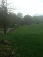 331 River Rd, Harrogate, TN 37752 photo 12
