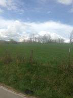 331 River Rd, Harrogate, TN 37752 photo 15