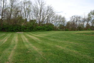121 Settlers Ln, Talbott, TN 37877 photo 5