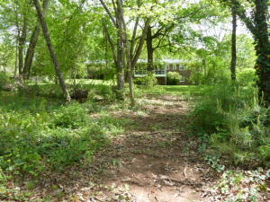 905 Irwin Rd, Powell, TN 37849 photo 36