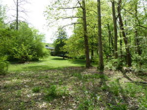 905 Irwin Rd, Powell, TN 37849 photo 32