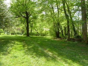905 Irwin Rd, Powell, TN 37849 photo 29