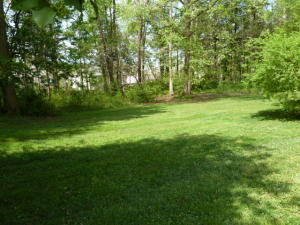 905 Irwin Rd, Powell, TN 37849 photo 28