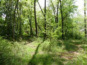 905 Irwin Rd, Powell, TN 37849 photo 35