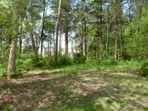 905 Irwin Rd, Powell, TN 37849 photo 30