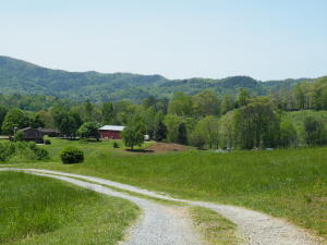 302 Webb Rd, Townsend, TN 37882 photo 2