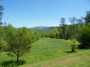 302 Webb Rd, Townsend, TN 37882 photo 5