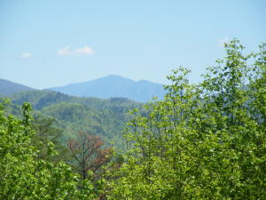 302 Webb Rd, Townsend, TN 37882 photo 7