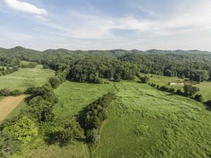 137 Mountain View Rd, Heiskell, TN 37754 photo 26