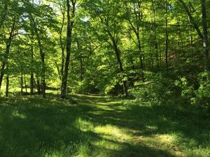137 Mountain View Rd, Heiskell, TN 37754 photo 23