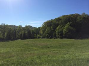 137 Mountain View Rd, Heiskell, TN 37754 photo 17
