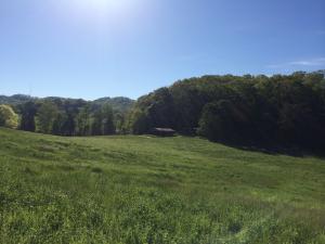 137 Mountain View Rd, Heiskell, TN 37754 photo 12
