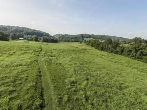 137 Mountain View Rd, Heiskell, TN 37754 photo 27
