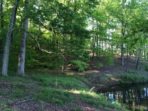 137 Mountain View Rd, Heiskell, TN 37754 photo 25